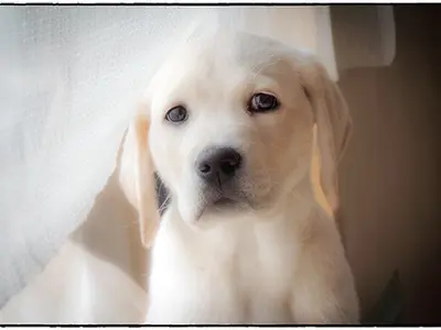 【35年の実績による確かな技術】年中無休◎予約対応から納品まで自社対応！