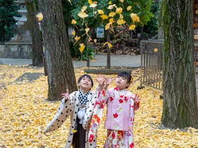 【フォトマスター文部科学省後援】72時間以内に色相.彩度.明度.調整納品致します