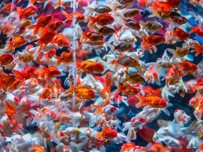 『老若男女誰でも気軽に』楽しく撮影します。一生の想い出に是非！！