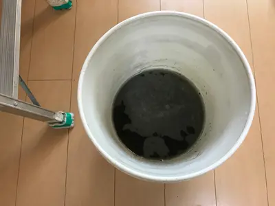 ＜女性スタッフ同行OK＞100%自社対応◎ハウスクリーニング歴24年の会社です◎