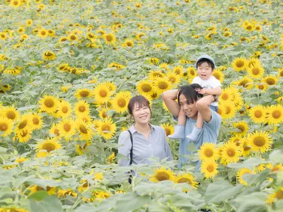 【撮影実績1000組以上！】ご家族に寄り添うママフォトグラファー