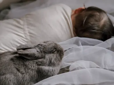 〓全データお渡し〓人生は思い出作り、最高な写真を残しませんか？女性カメラマン