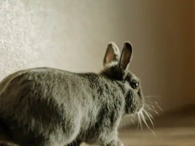 〓全データお渡し〓人生は思い出作り、最高な写真を残しませんか？女性カメラマン