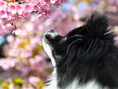 予約対応～撮影・納品まで当社スタッフがすべて対応します