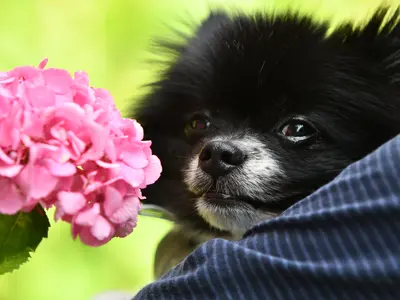 予約対応～撮影・納品まで当社スタッフがすべて対応します