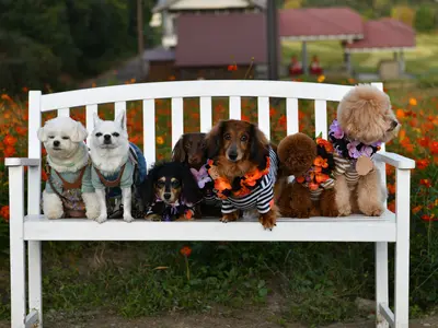 予約対応～撮影・納品まで当社スタッフがすべて対応します