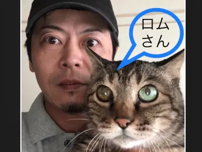 《12月先行受付中です》安心・迅速対応致します ︎☆お得な2トンプランも稼働中！