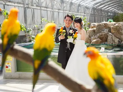 《業歴20年》豊富な経験と知識を生かし、お客様のご要望に沿った撮影をいたします！