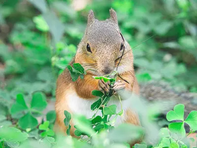 大きなペットと写真撮影！もちろん通常の撮影も！