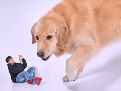 大きなペットと写真撮影！もちろん通常の撮影も！