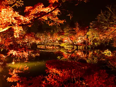 【Wカップ・オリンピック専属カメラマン】自信のプロ仕上げ！