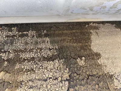 ハウスクリーニング技能士が自信を持ってお掃除致します！今なら消臭抗菌コート半額！