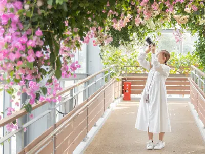 明るい雰囲気の写真に強い！週1組だけの撮影で、丁寧な対応とお写真を提供します