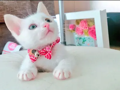 予約対応～撮影・納品まで当社スタッフがすべて対応します