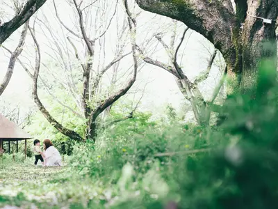 【SNSフォロワー2.3万人】現役こども向けスタジオカメラマン！交通費無料！