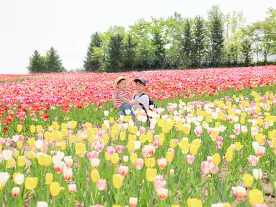 女性カメラマンが撮影◎様々なシチュエーションに対応します！