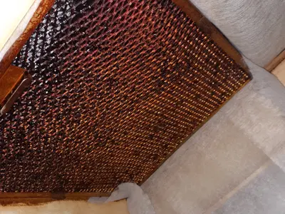 【五泉市】損害保険加入済み◎作業にご不満の場合は無料で追加対応も行います！