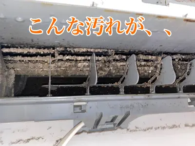 最短予約可能！高圧洗浄でカビを撃退！綺麗好きスタッフにお任せ下さい！