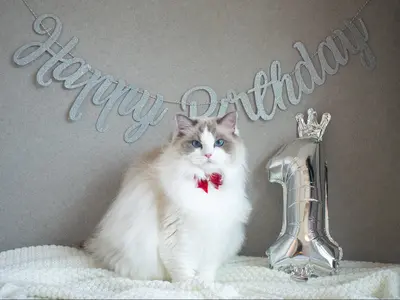 大手広告会社にて実績多数！お客様の大切な瞬間を一枚の作品にしませんか？