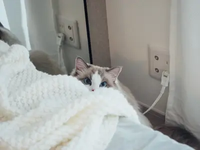 大手広告会社にて実績多数！お客様の大切な瞬間を一枚の作品にしませんか？