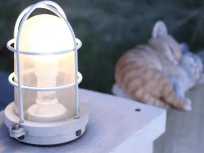 ★信頼を伝える企業・店舗専用出張フォト★