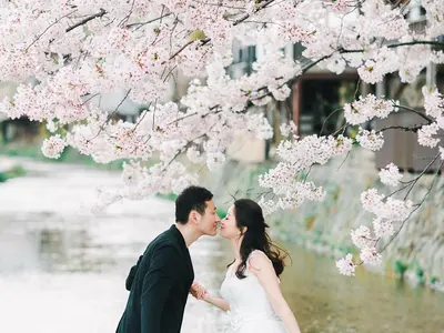 《プロの女性カメラマン集団》☆着物無料付☆どんなご要望にも丁寧にお応え！