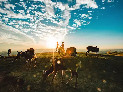 《プロの女性カメラマン集団》☆着物無料付☆どんなご要望にも丁寧にお応え！