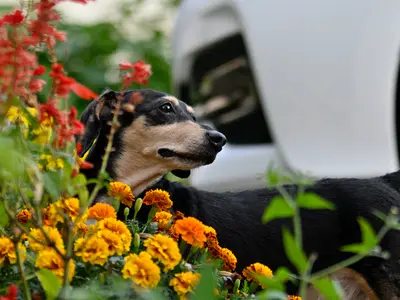 思い出に残る一枚を!御本人/ご家族様の撮影を承ります。