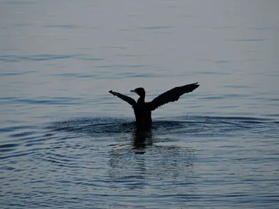 思い出に残る一枚を!御本人/ご家族様の撮影を承ります。