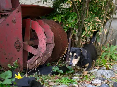思い出に残る一枚を!御本人/ご家族様の撮影を承ります。