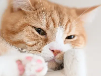 今この瞬間を一枚に！貴方の専属グラファーとして最高の一枚をお撮りいたします