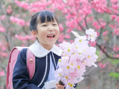 11月土日祝完売。平日は空きが有ります。和傘、年賀状用グッズ等無料小物有ります。