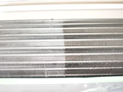 【期間限定】防カビ抗菌コート・医療系除菌無料☆サイト口コミ高評価500件以上☆