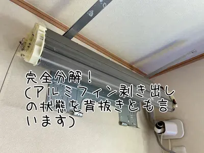 アレルギーの方は【特に】背抜き完全分解せんとアカンです！(最低でもファン抜き)