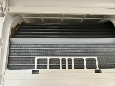 カビをほったらかすと健康被害にも繋がります！！お子さんやペットのためにも！