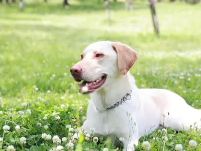 予約対応～撮影・納品まで当社スタッフがすべて対応します