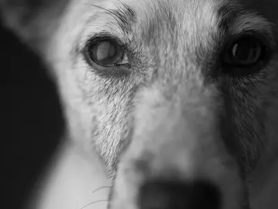 ＜年中無休＞プロカメラマンが誠意をもって伺います！事前確認もしっかり行います！