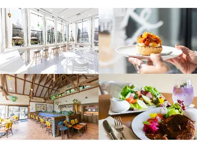 写真歴10年のプロの技術！撮影からデザインまでおまかせください。最短翌日納品可！