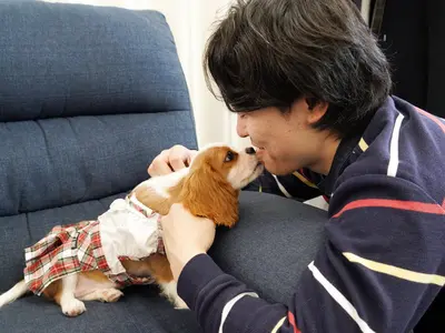 プロ業歴２６年。大切な家族である動物とのひとときを、心を込めて多数撮影いたします