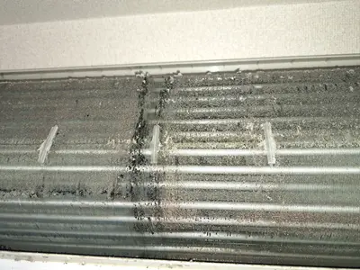 【最短 12月2日施工】プロの証、エアコンクリーニング士が丁寧に洗浄します！