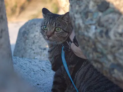 【年中無休営業】親切・丁寧◎豊富な経験と知識を活かして対応いたします！