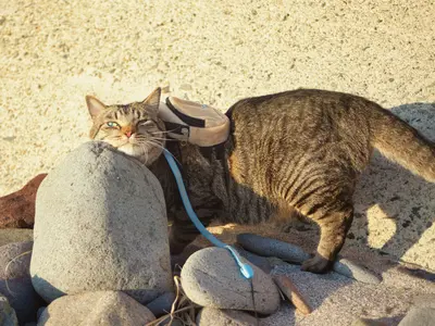 【年中無休営業】親切・丁寧◎豊富な経験と知識を活かして対応いたします！