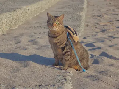 【年中無休営業】親切・丁寧◎豊富な経験と知識を活かして対応いたします！