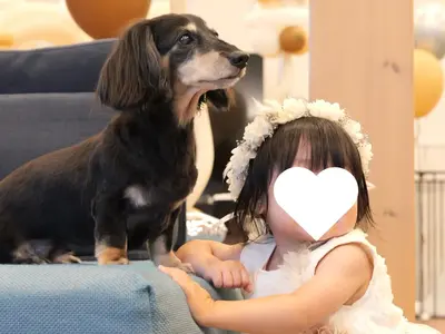 その一瞬を宝物に。写真だけでなくSNS・HP向けの動画制作も可能です。