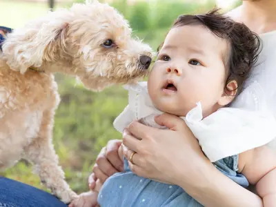 【全カットレタッチ厳選30カット以上】ペットフォト