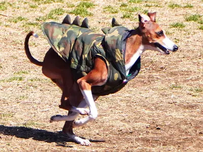 【プロの店長が伺います】豊富な経験と知識で安心！作業外注一切なし◎