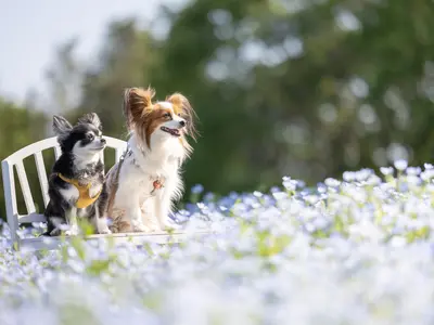 【プロスポーツ撮影実績あり】安心してお気軽にご相談ください！女性スタッフ同行可能