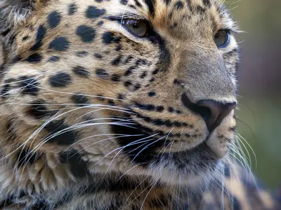 【プロスポーツ撮影実績あり】安心してお気軽にご相談ください！女性スタッフ同行可能