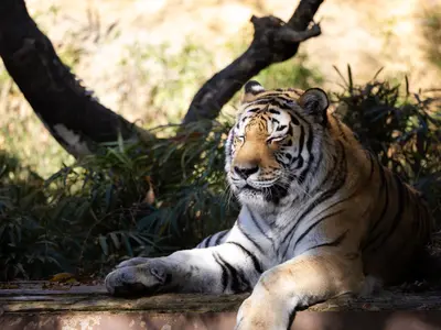【プロスポーツ撮影実績あり】安心してお気軽にご相談ください！女性スタッフ同行可能