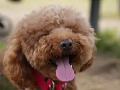 大切な家族との大切な時間を思い出に